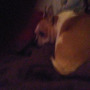 Meet your Posher, Jean